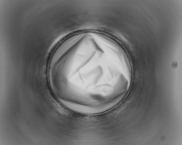 X0000096671216200802261444