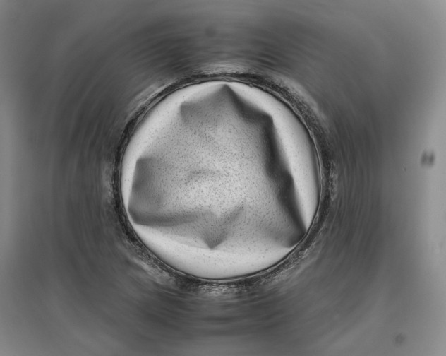 X0000096671217200802261444