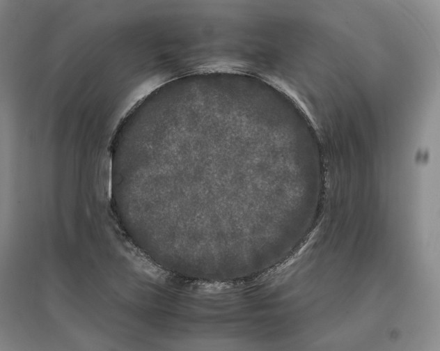 X0000096671219200802261444