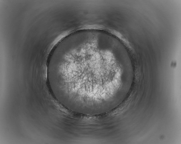 X0000096671221200802261444