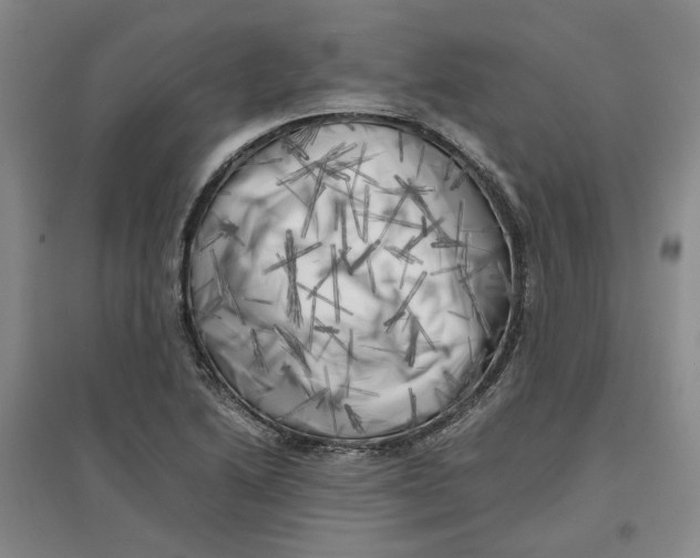 X0000096671222200802261444