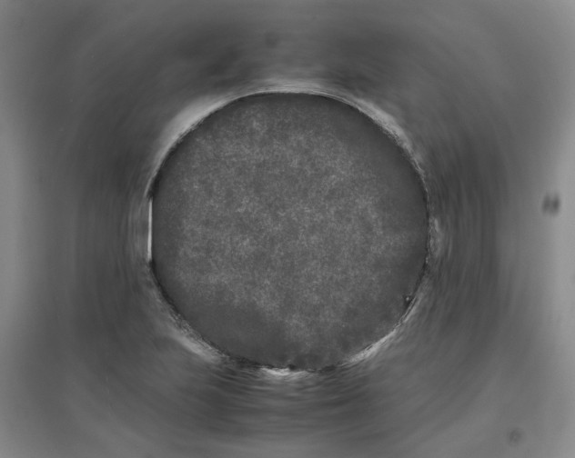 X0000096671223200802261444