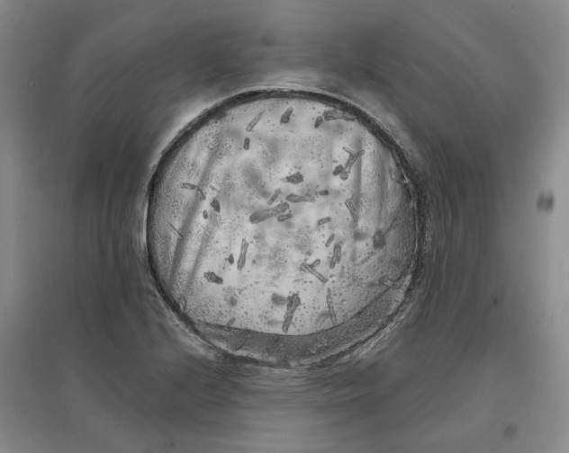 X0000096671224200802261444