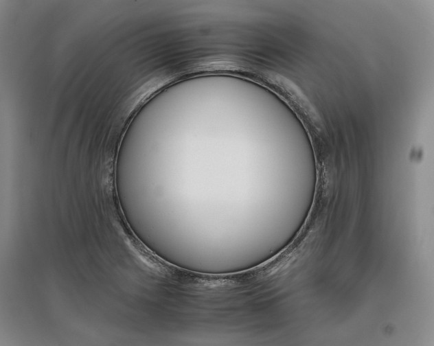 X0000096671225200802261444