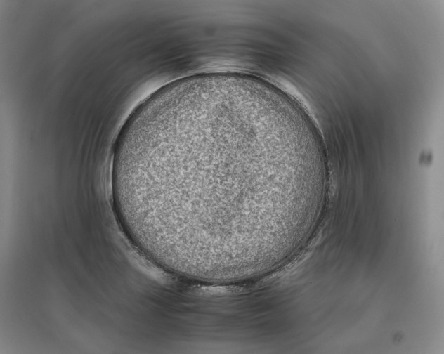 X0000096671227200802261444