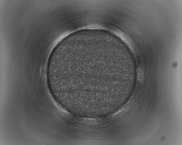 X0000096671229200802261444