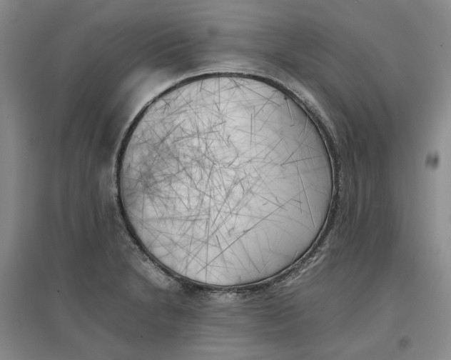 X0000096671230200802261444