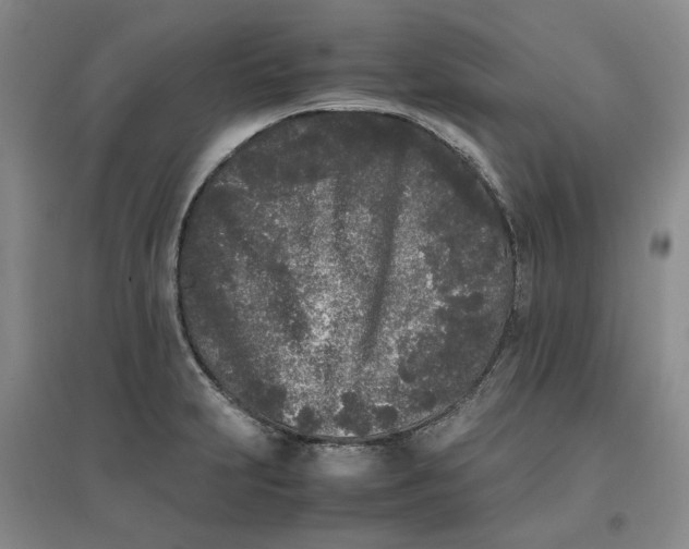 X0000096671231200802261444