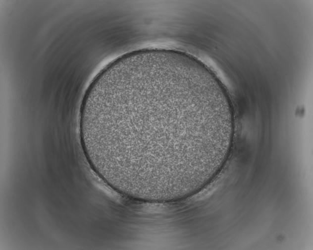 X0000096671232200802261444