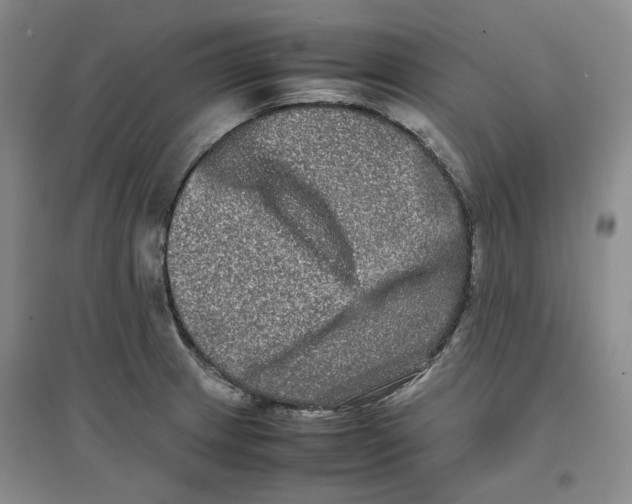 X0000096671233200802261444