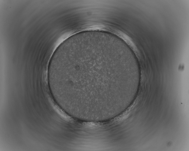 X0000096671234200802261444