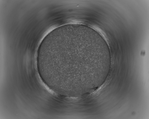 X0000096671235200802261444