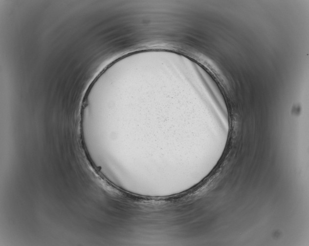 X0000096671236200802261444