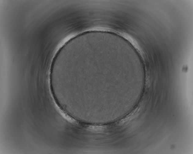 X0000096671237200802261444