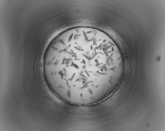 X0000096671238200802261444