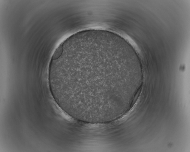 X0000096671240200802261444