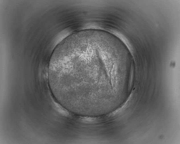 X0000096671241200802261444