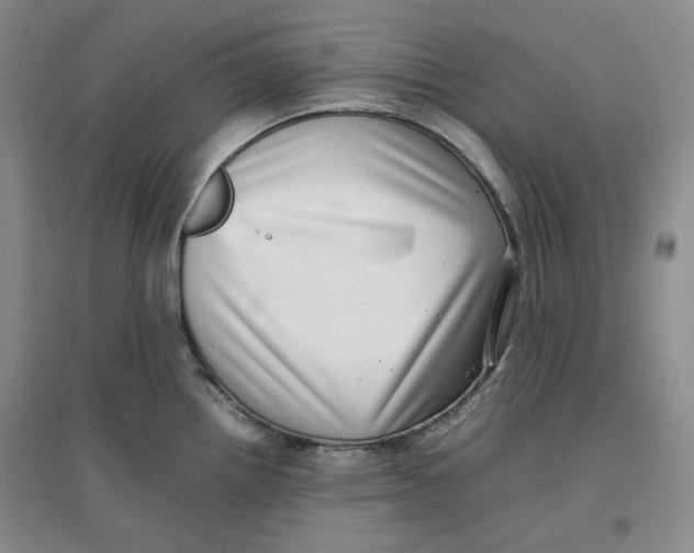 X0000096671242200802261444