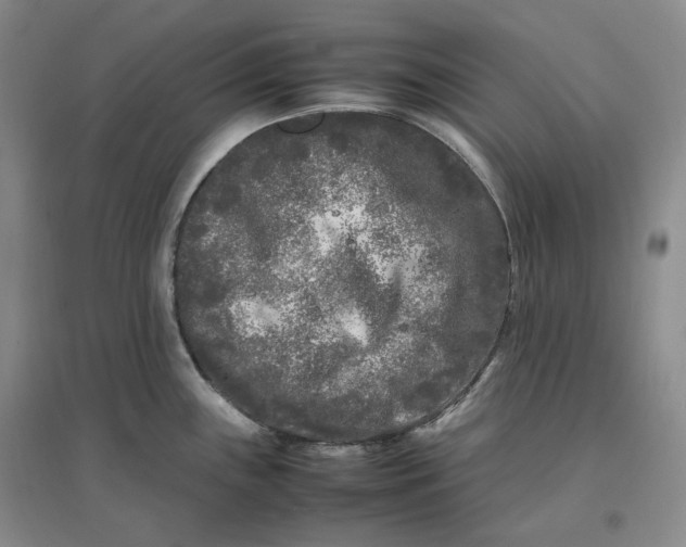 X0000096671243200802261444