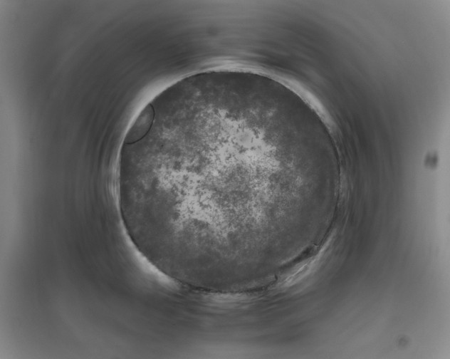 X0000096671247200802261444