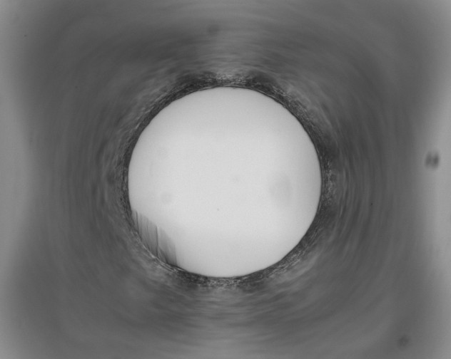 X0000096671249200802261444