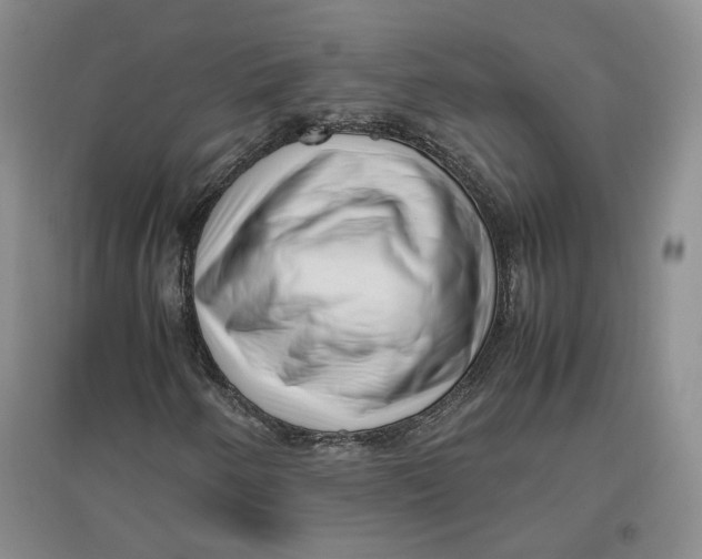 X0000096671250200802261444