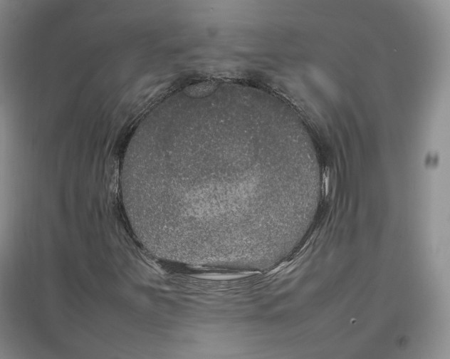 X0000096671251200802261444