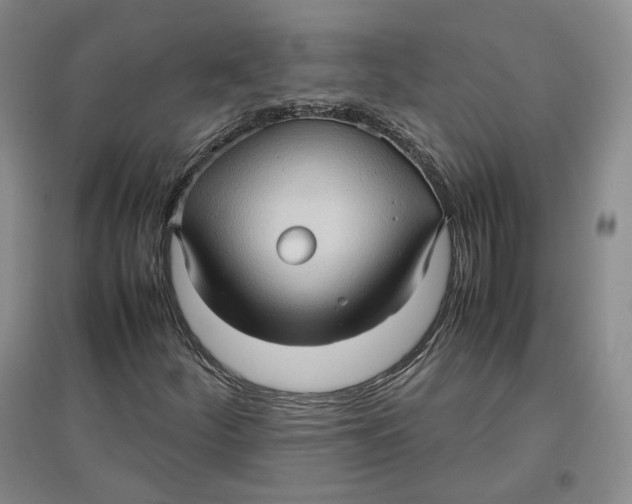 X0000096671252200802261444