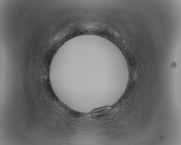 X0000096671253200802261444