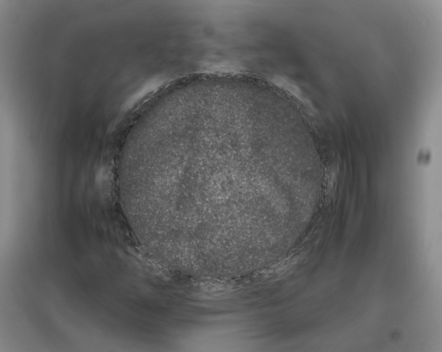 X0000096671254200802261444