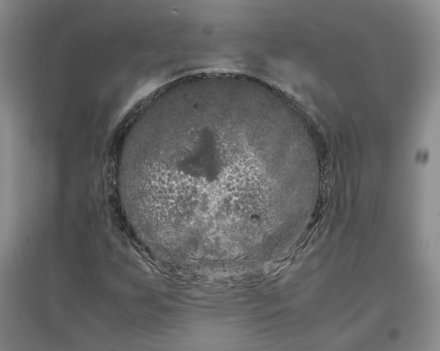 X0000096671255200802261444