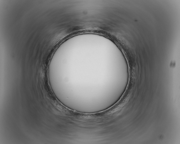 X0000096671257200802261444