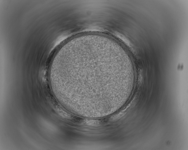 X0000096671258200802261444