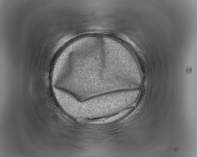 X0000096671259200802261444