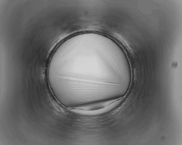 X0000096671260200802261444