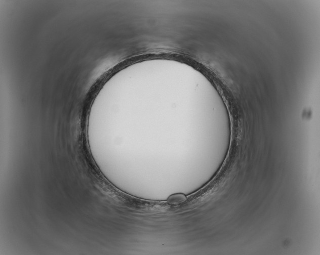 X0000096671261200802261444