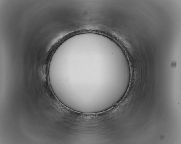 X0000096671262200802261444