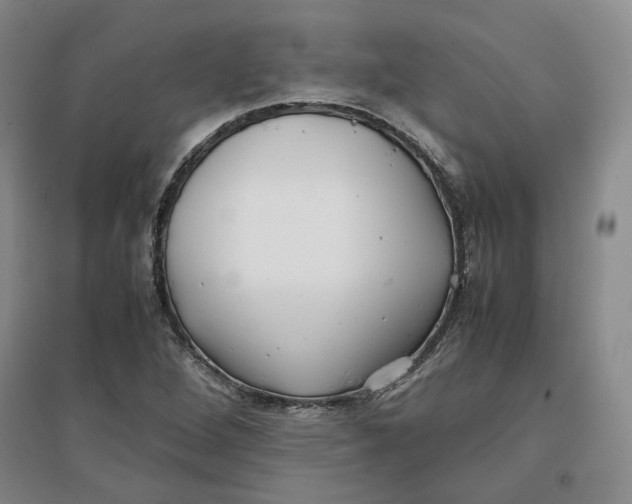 X0000096671264200802261444