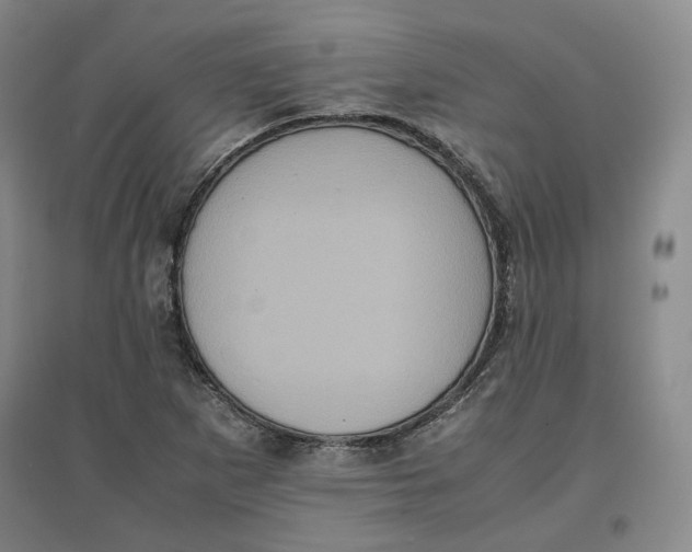 X0000096671265200802261444