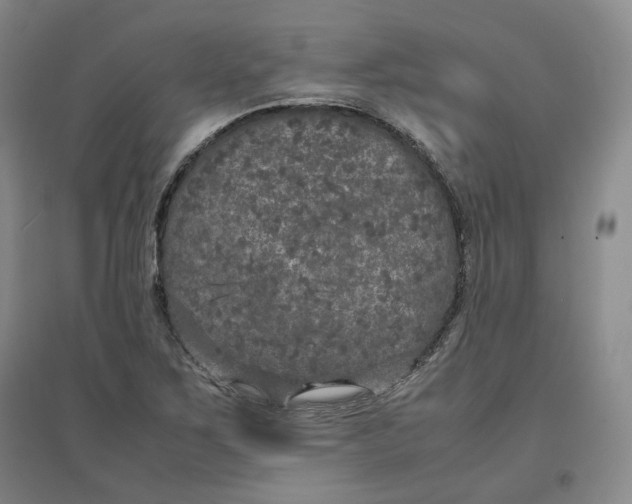 X0000096671267200802261443