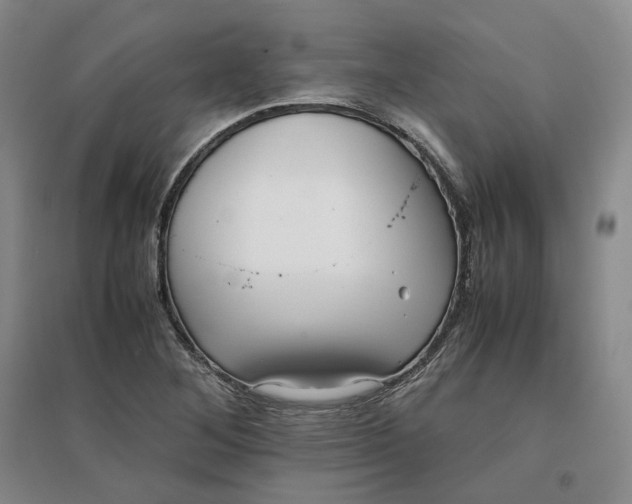 X0000096671268200802261443