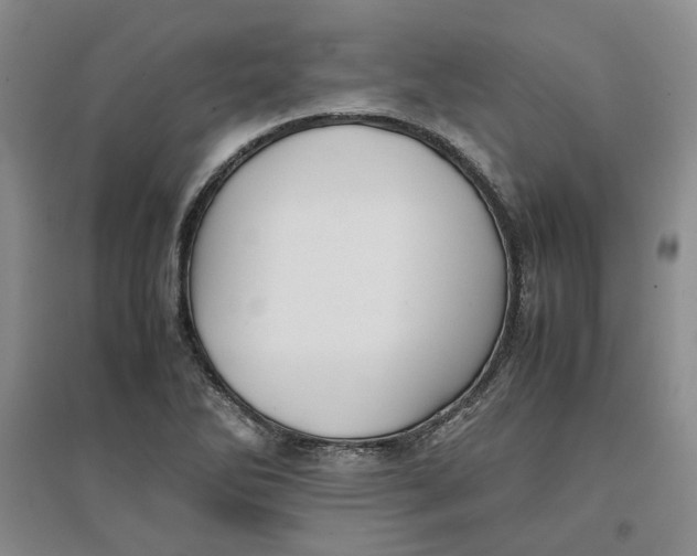 X0000096671270200802261443