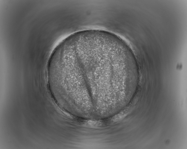 X0000096671271200802261443