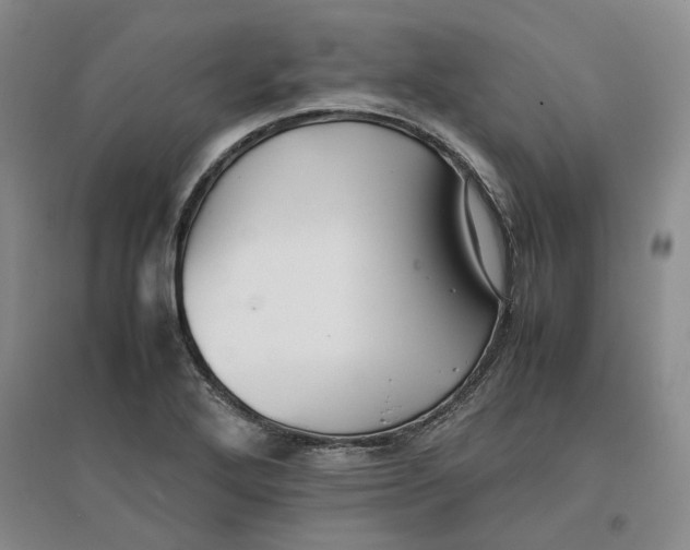 X0000096671272200802261443