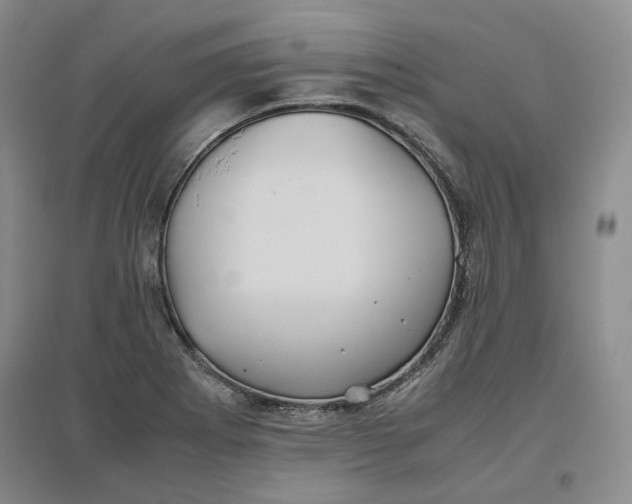 X0000096671273200802261443