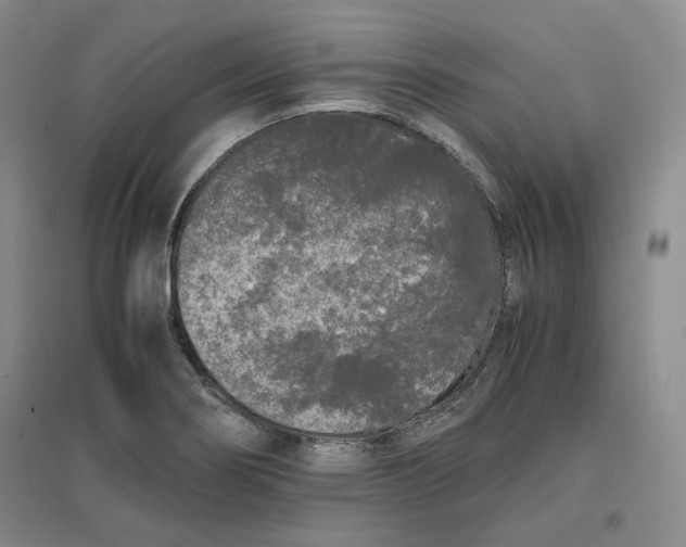 X0000096671274200802261443