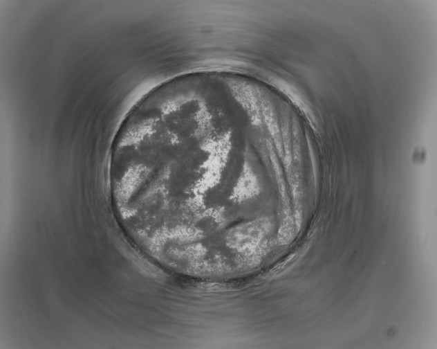 X0000096671275200802261443