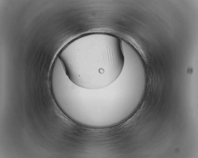 X0000096671276200802261443