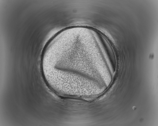 X0000096671277200802261443