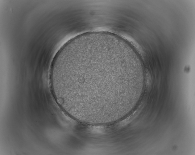 X0000096671278200802261443